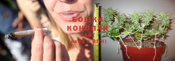 стафф Гусев