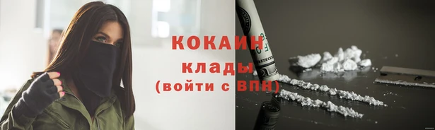 стафф Гусев
