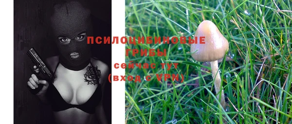 стафф Гусев