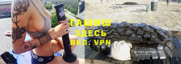 стафф Гусев