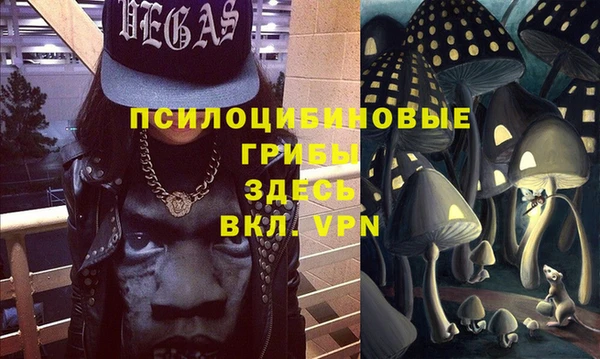 стафф Гусев