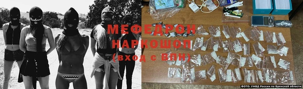 стафф Гусев