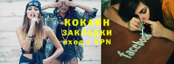 стафф Гусев