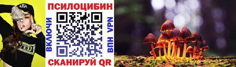 Псилоцибиновые грибы MAGIC MUSHROOMS  Могоча 